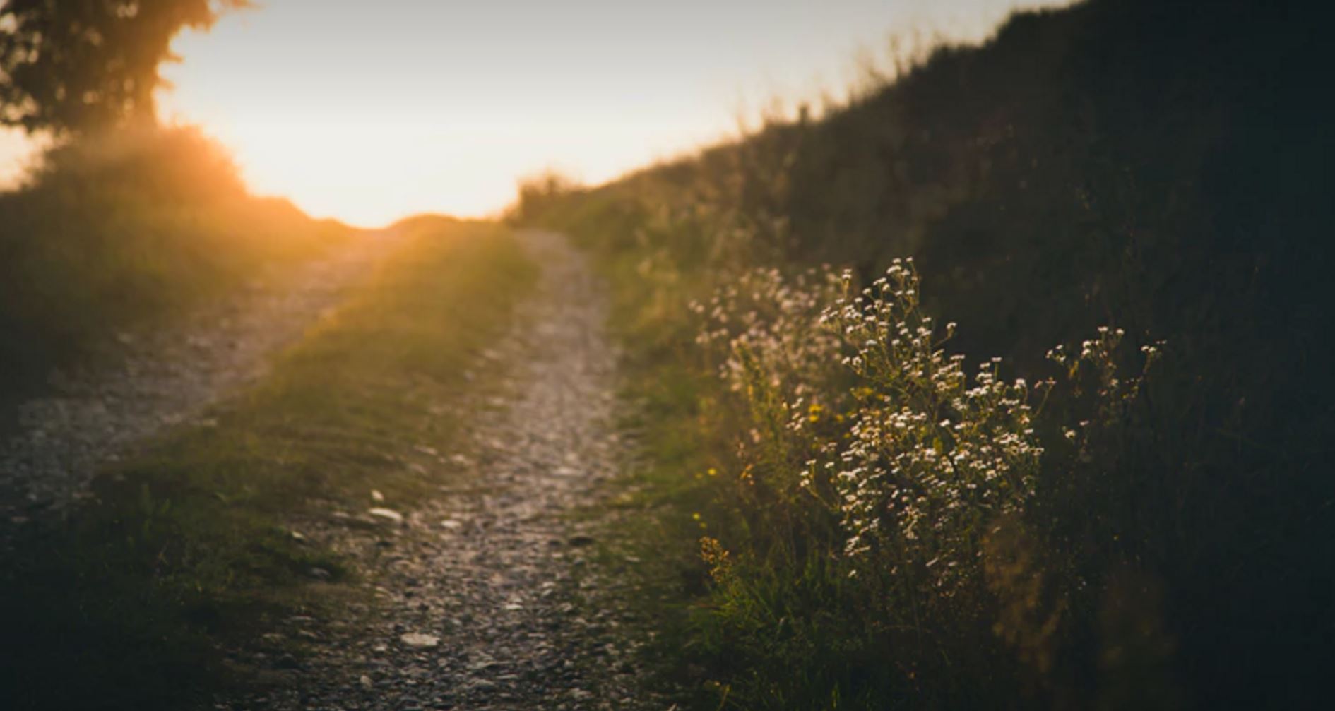 Road to remember.