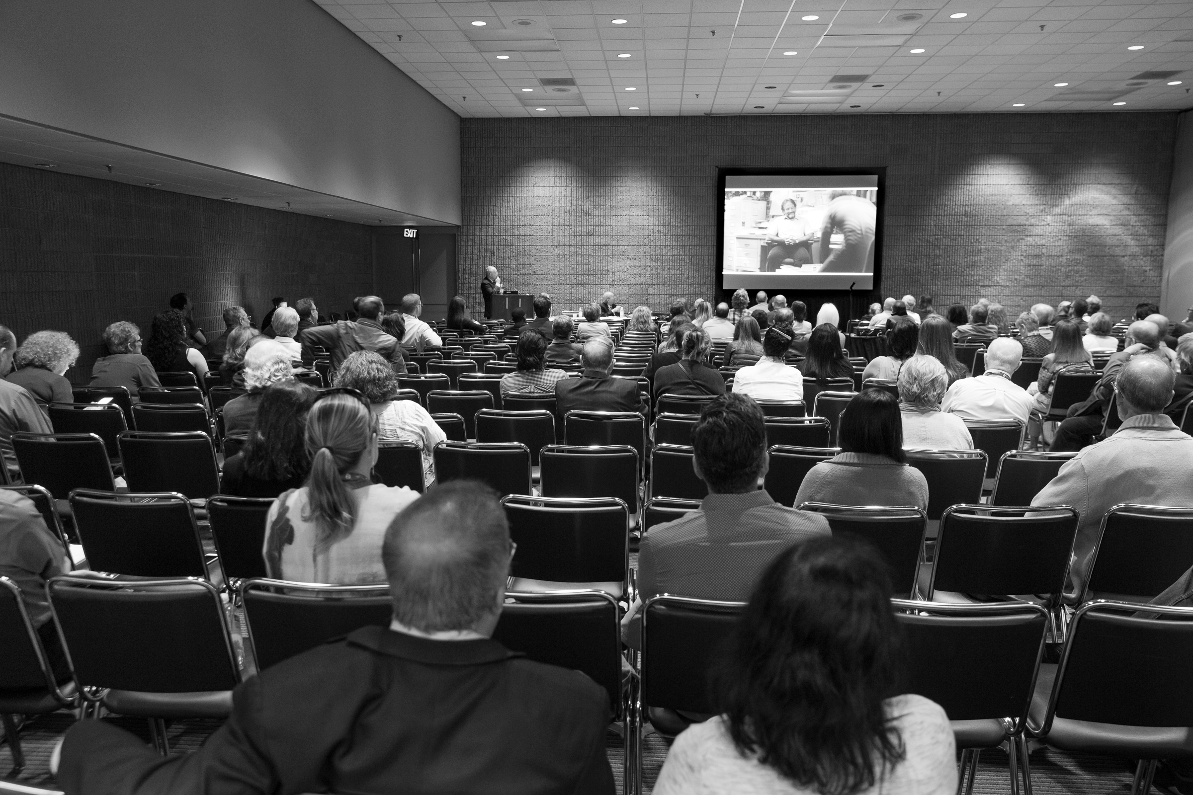 Intriguing presentation of neurobiological take on depression.